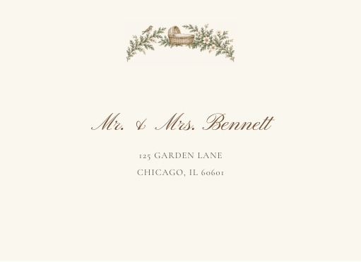 Envelope Addressing reduced actual template preview